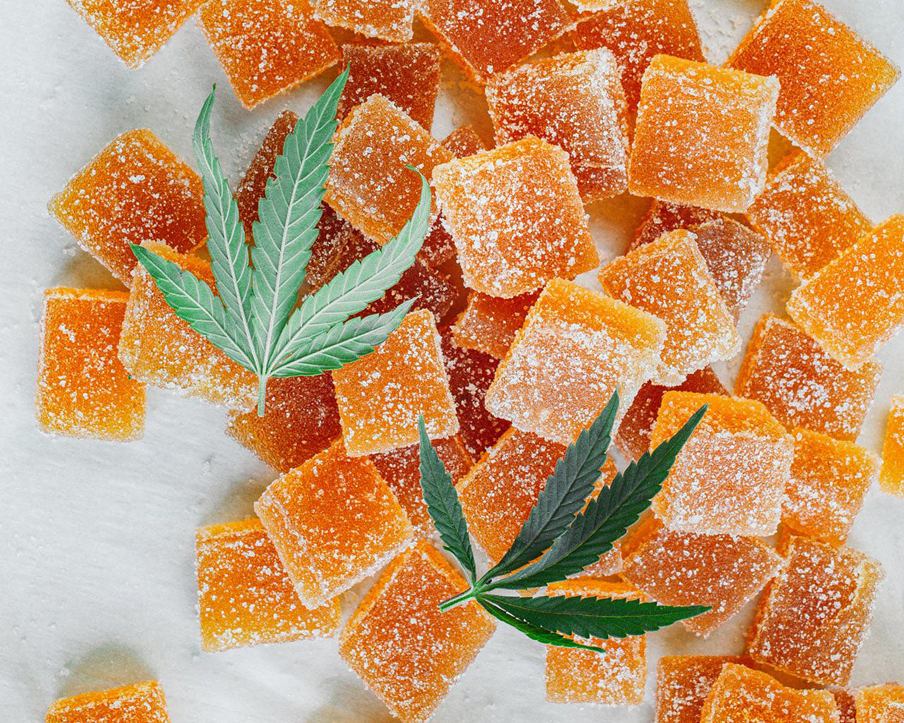 THC- GUMMIES